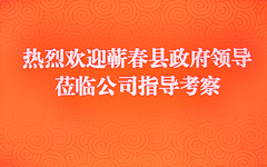 蕲春县政府领导莅临安锋游戏视察指导